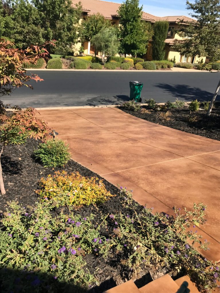 A residential scene with a smooth brown concrete driveway leading to an elegant house with a stucco façade and tiled roof. A green waste bin sits by the curb. The driveway is flanked by well-maintained garden beds with colorful yellow and purple flowers, and lush shrubs.